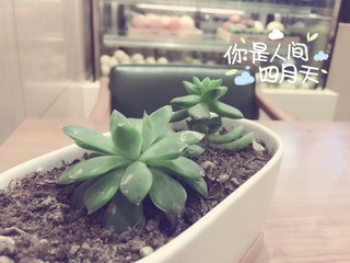 961E2F0E-969D-4051-8341-79BB3C18DB22/L0/001