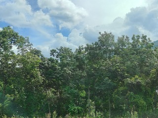 1000018072