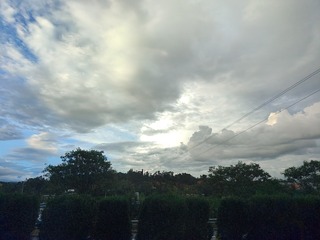 1000021669