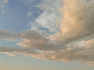 1000021919