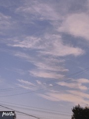 2A1BC353-8D99-475F-A648-D5D34B172DF3/L0/001