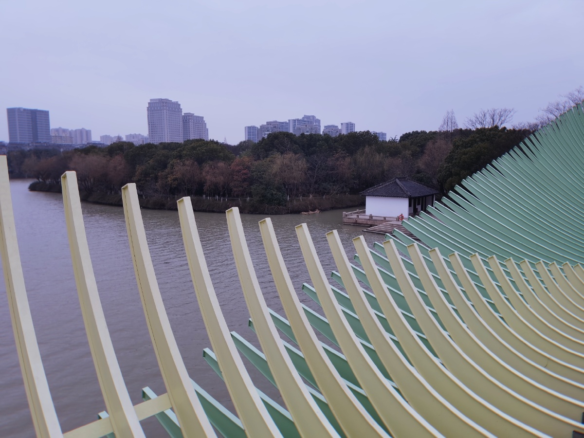 桥上河畔摄于放鹤洲公园网红桥上