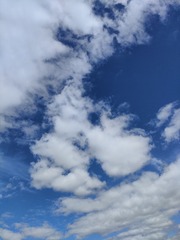1000017109