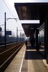 46694
