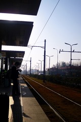 46695