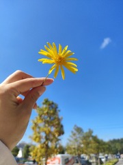 1000003357