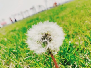 5F6652B7-333B-4752-AD80-CECC7488CF9D/L0/001