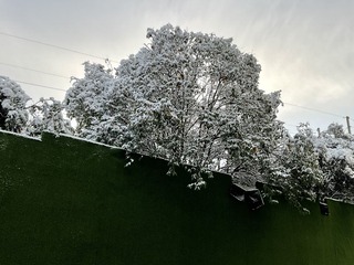 1663767