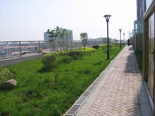 573081