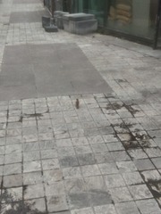 1220825