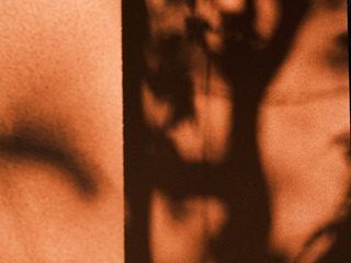 EC7AA9B4-DD06-4144-8C24-E4DA5003C67A/L0/001