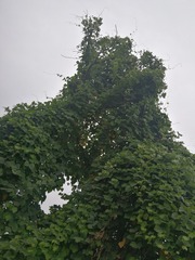 65853