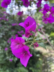 6D31C383-E0AD-4530-A6CD-0A7568362C39/L0/001