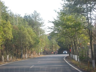 4707647