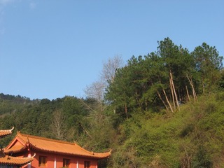 4707648