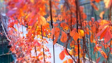 D0F1C68A-65E7-41CD-AD81-AC6018C6FA7F/L0/001