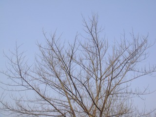 FFFF483C-0944-49F1-B248-BBBBCC6FD20D/L0/001
