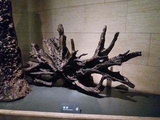 1586633