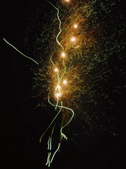 8FC48140-4B80-4C6B-8B1E-61ACB44EA6AE/L0/001