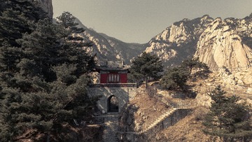 DJI_20250226110642_0023_D-已增强-降噪