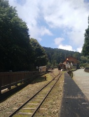 36981
