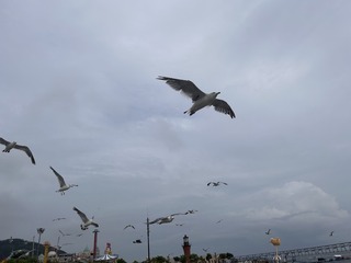 597AA71C-1693-4769-B841-917CAFB03438/L0/001