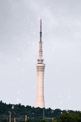 597185