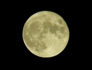 69AB3824-BA0D-4366-AF61-DF1ED95E9ED2/L0/001