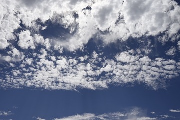 278905