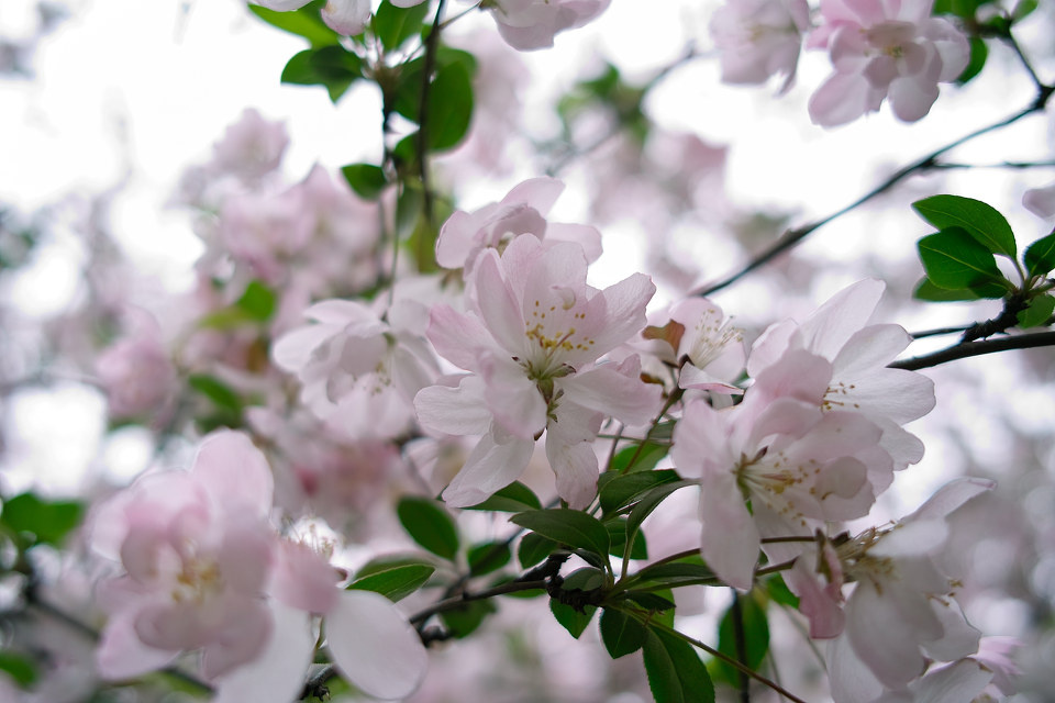 SDIM0713<br />
