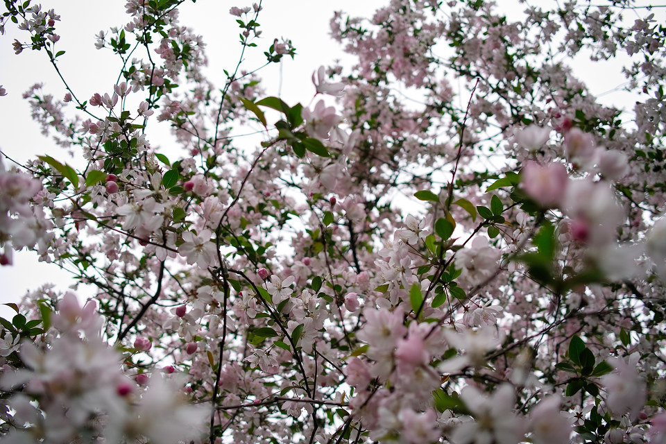 SDIM0714<br />

