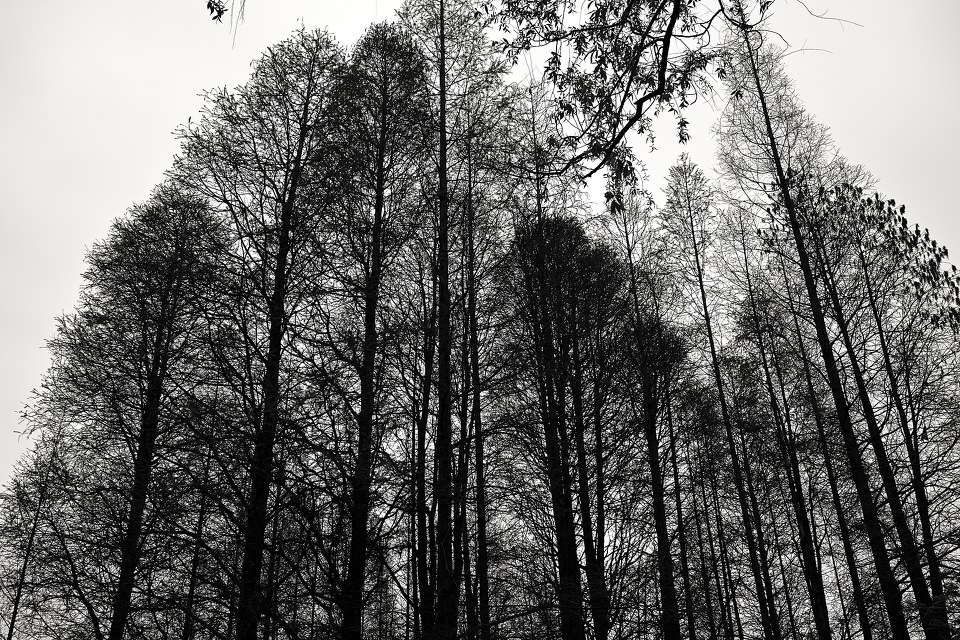 SDIM0724<br />
