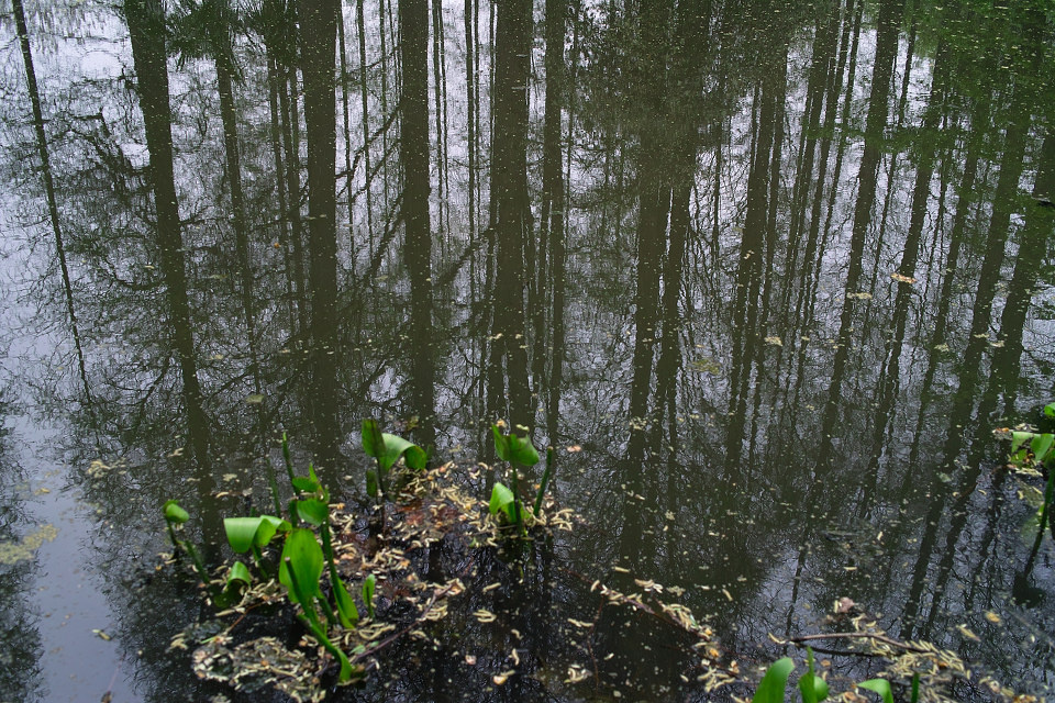 SDIM0728<br />
