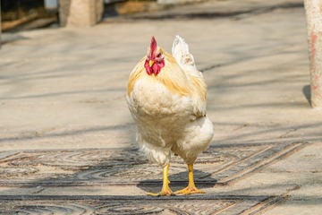37075
