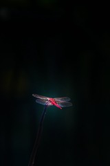 52630