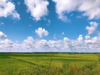 8C38843F-F827-4833-AC58-58B8CA8408C8/L0/001