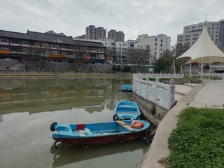 2196554