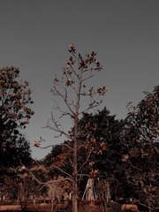 18A15DC3-7D92-4041-8CC4-3FD0C914839B/L0/001