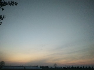 82502