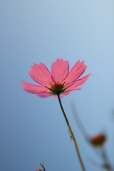 IMG_2558.JPG