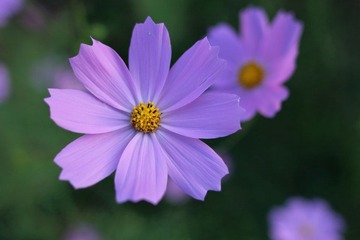 IMG_2573.JPG
