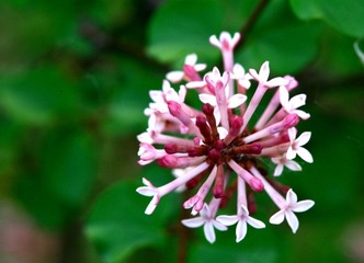 IMG_2197.JPG