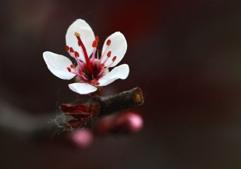 IMG_2215.JPG