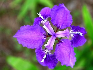 IMG_2741.JPG