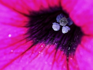 IMG_2796.JPG