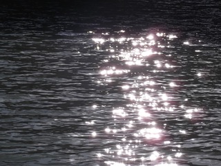 571D3301-4F0C-4A8E-8B89-E6B341907554/L0/001