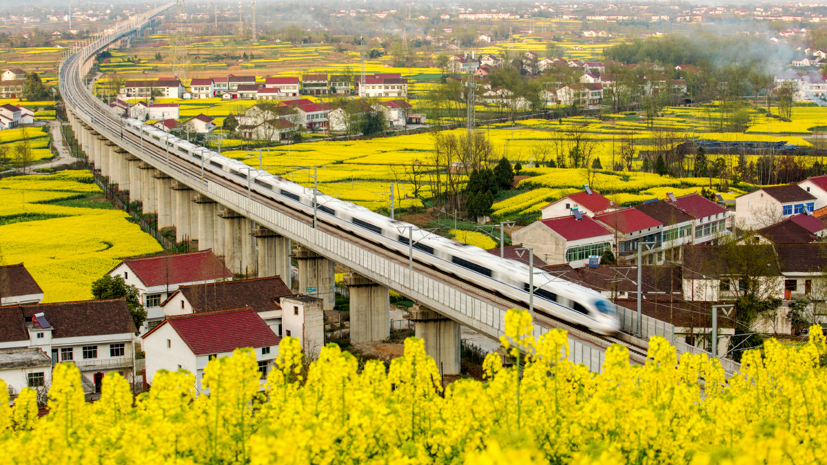 西成高铁穿越汉中最美油菜花海