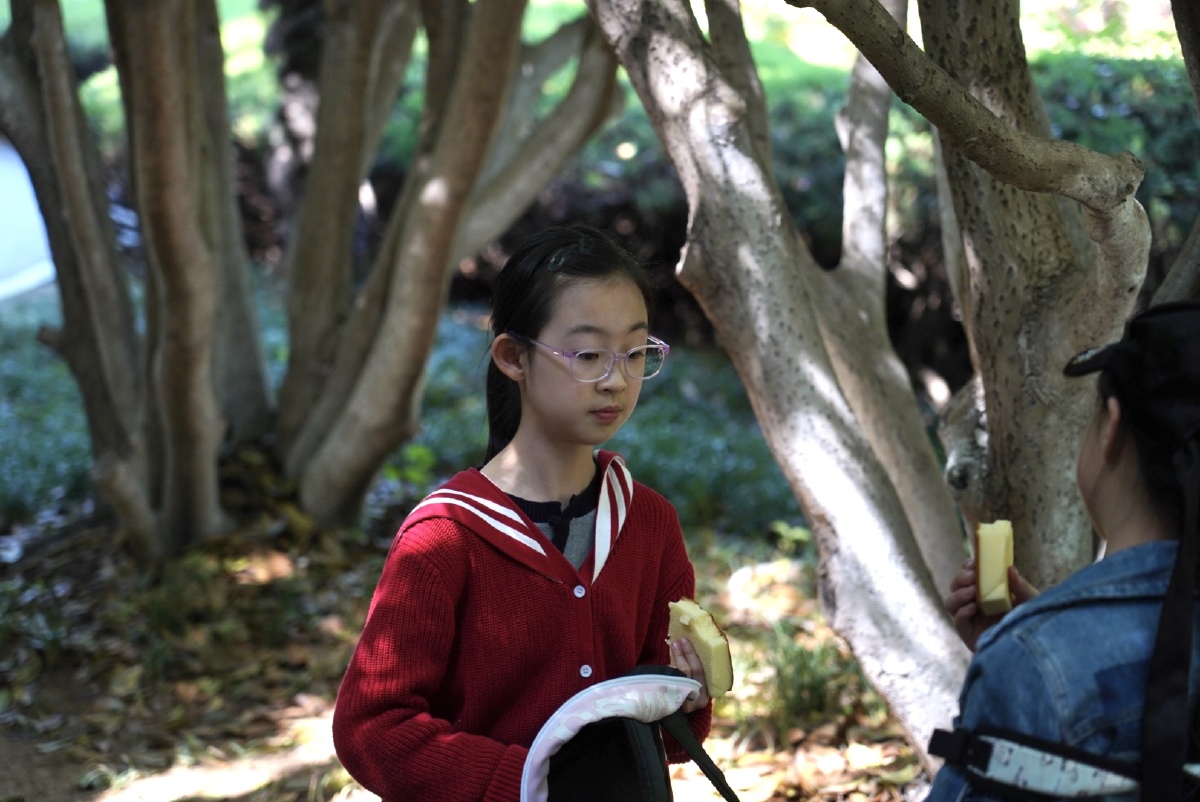 儿时玩伴初夏记忆