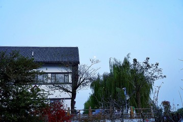 03054EF3-1EC4-426D-B931-7FB29C4BD9E5/L0/001