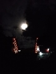1631641